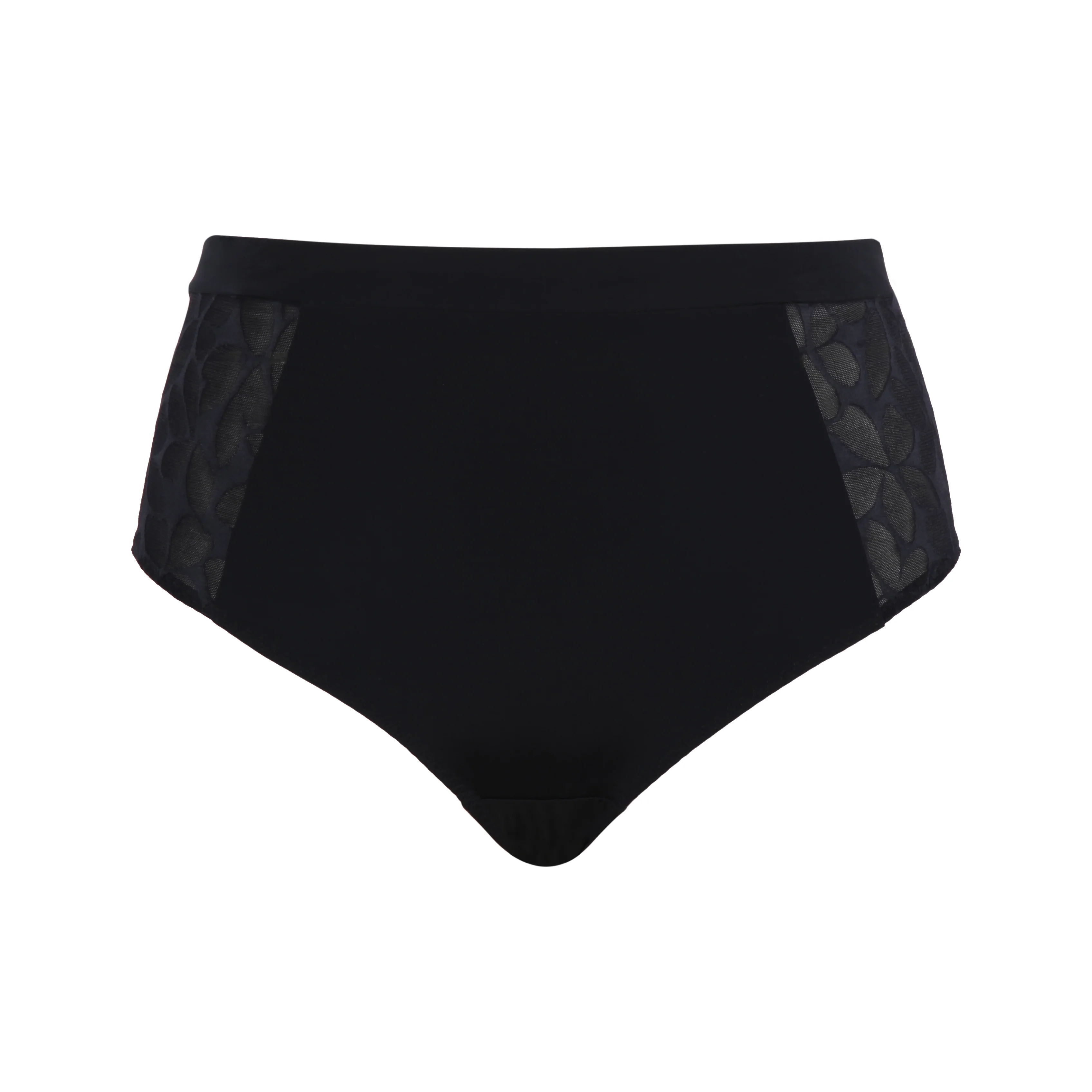 Ashley High Waist brief - Image 5
