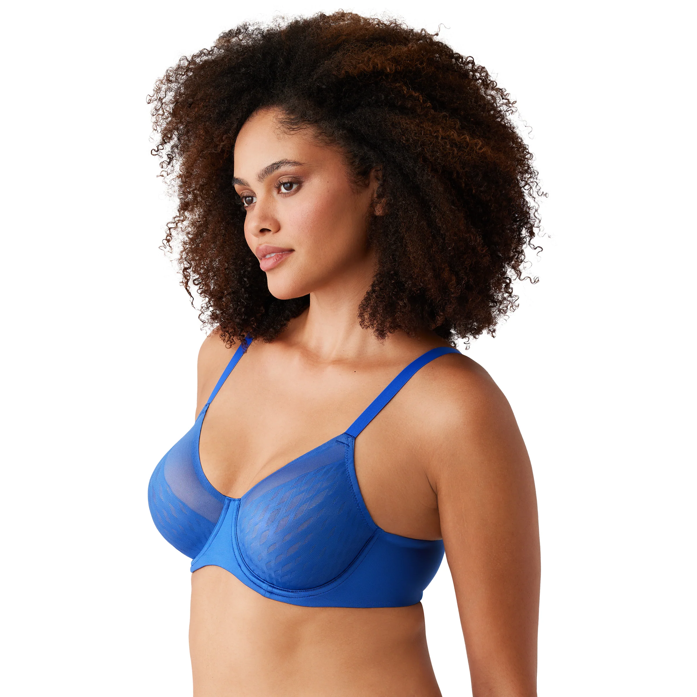 Elevated Allure Sale - Image 2