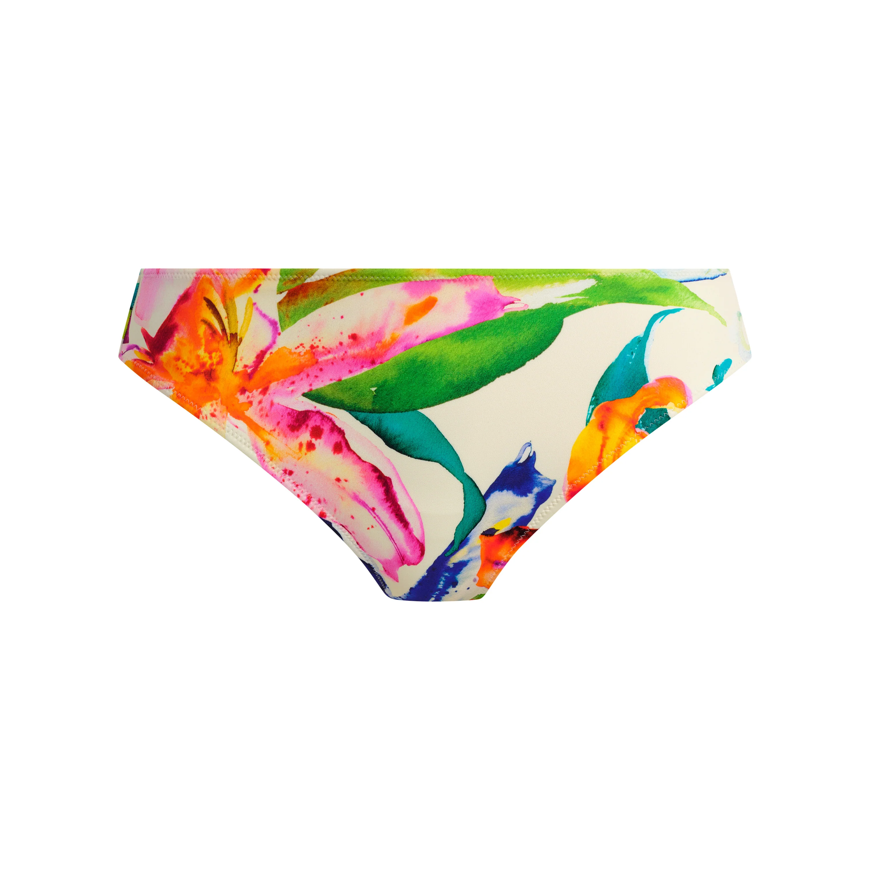 Iguazu Falls swim brief - Image 8