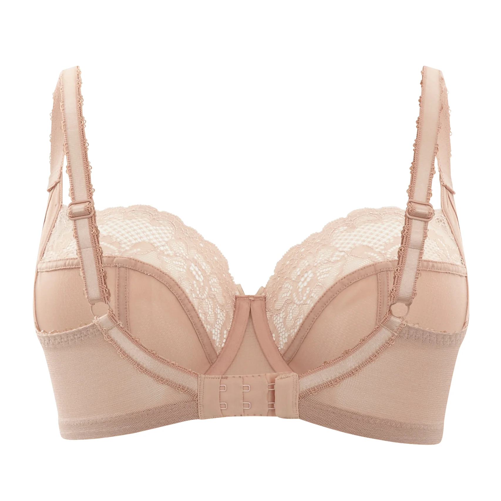 Jasmine - Image 6