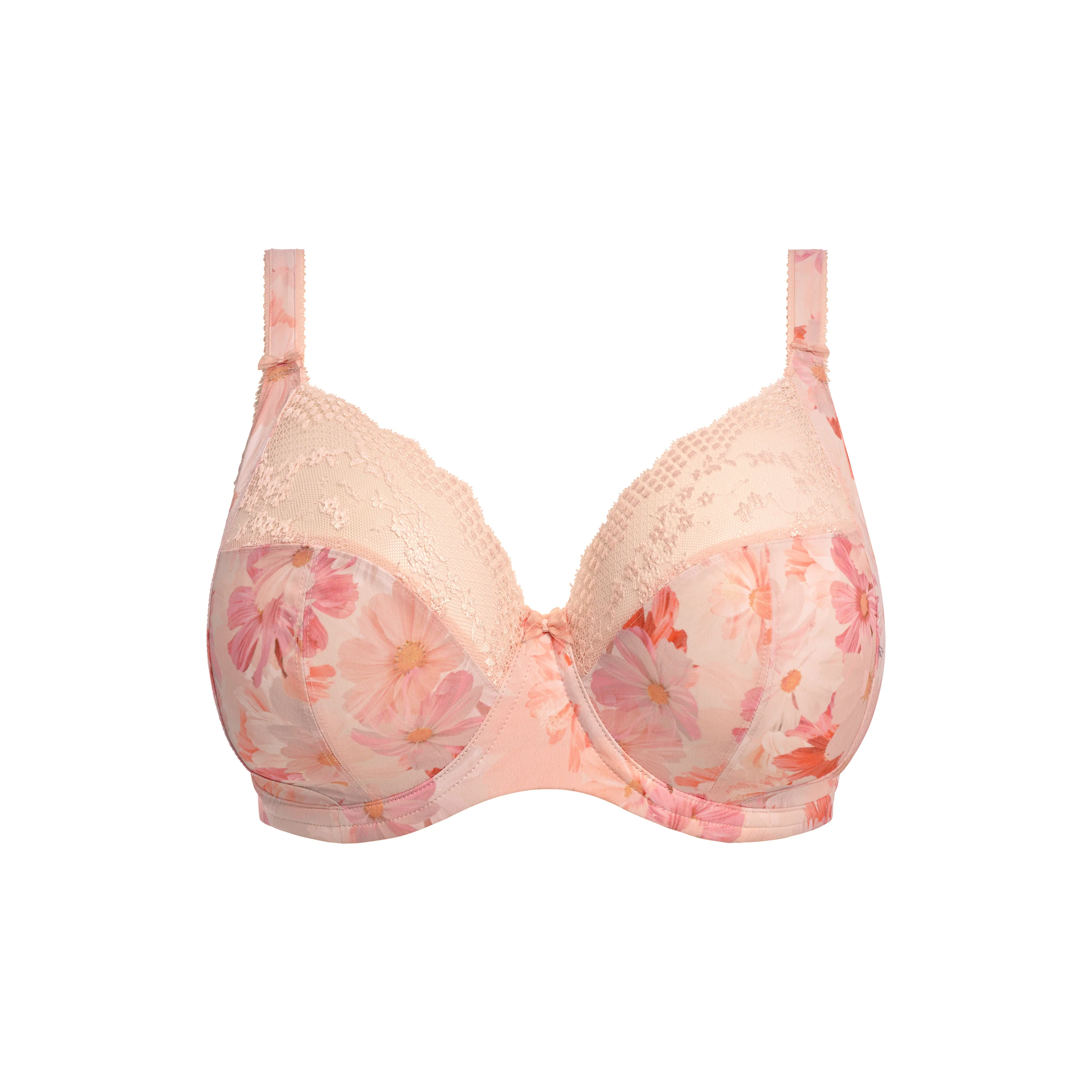 Lucie Cosmos - Image 5