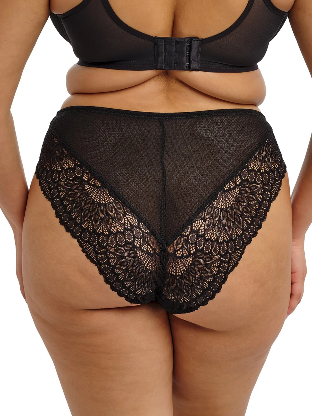 Tiernie brief - Image 2